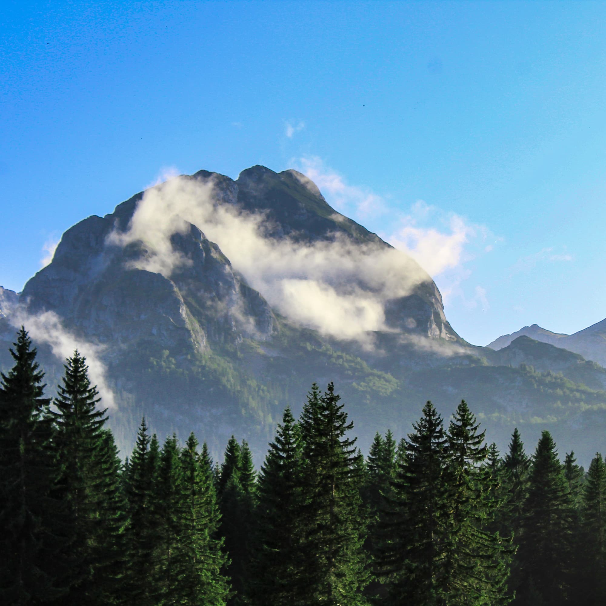 Majestic mountain peak surrounded by clouds, with a dense forest at the base.